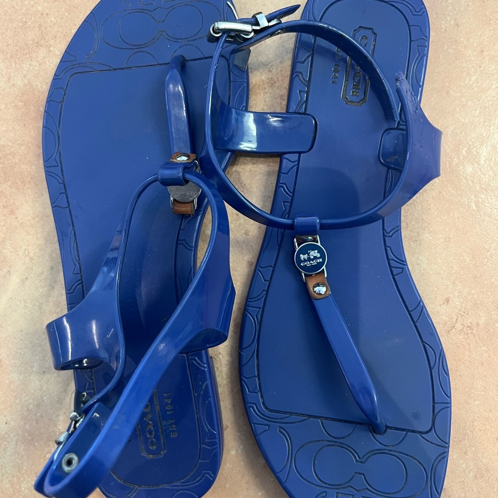 Coach Blue T-Strap Sandals with Adjustable Ankle Buckle